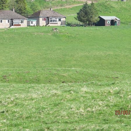 Scotland Paradise Relax Accommodation By Shooting Club Kirriemuir Balintore  Bagian luar foto