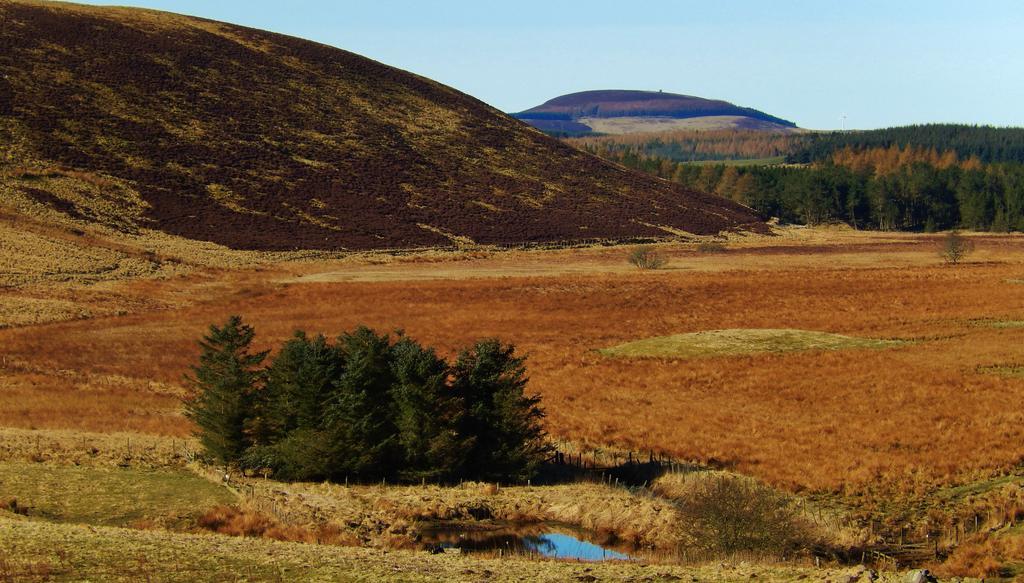 Scotland Paradise Relax Accommodation By Shooting Club Kirriemuir Balintore  Bagian luar foto
