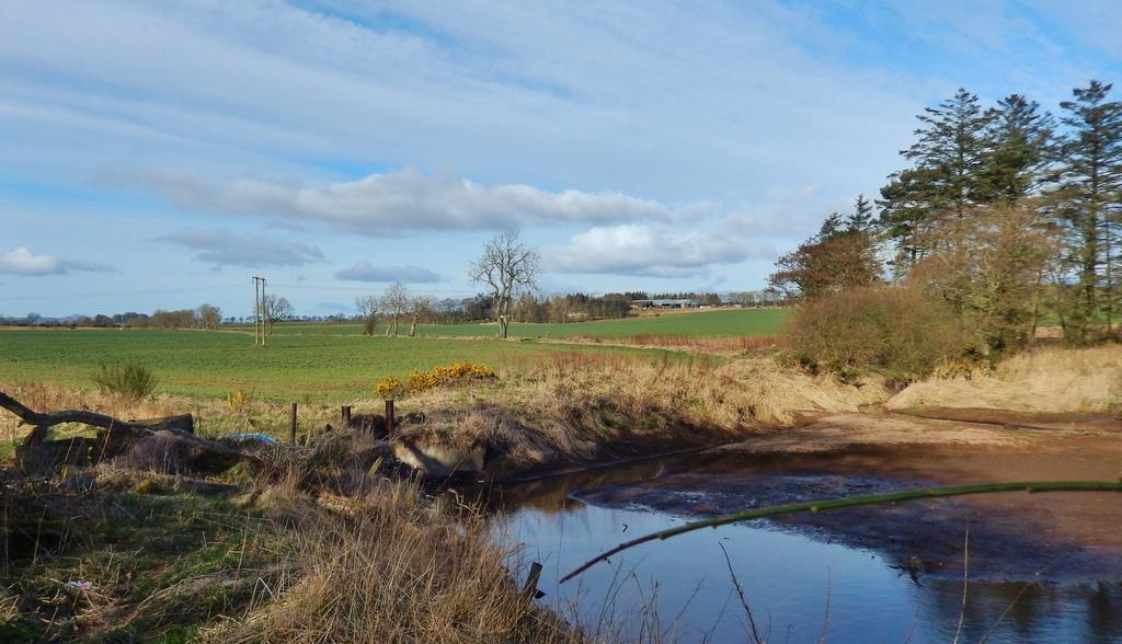 Scotland Paradise Relax Accommodation By Shooting Club Kirriemuir Balintore  Bagian luar foto
