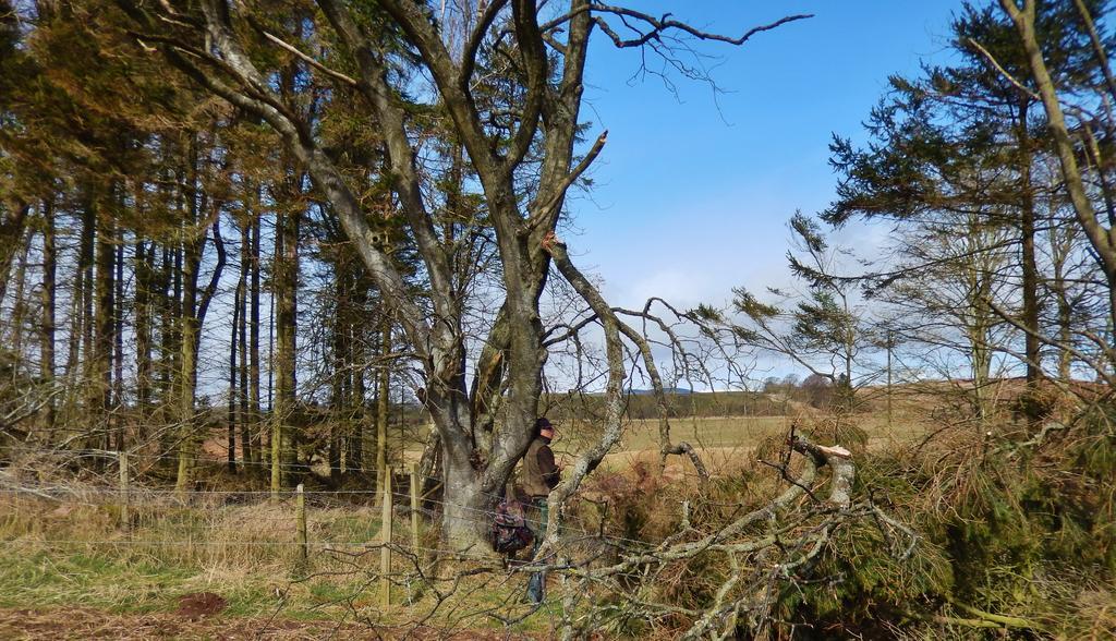 Scotland Paradise Relax Accommodation By Shooting Club Kirriemuir Balintore  Bagian luar foto