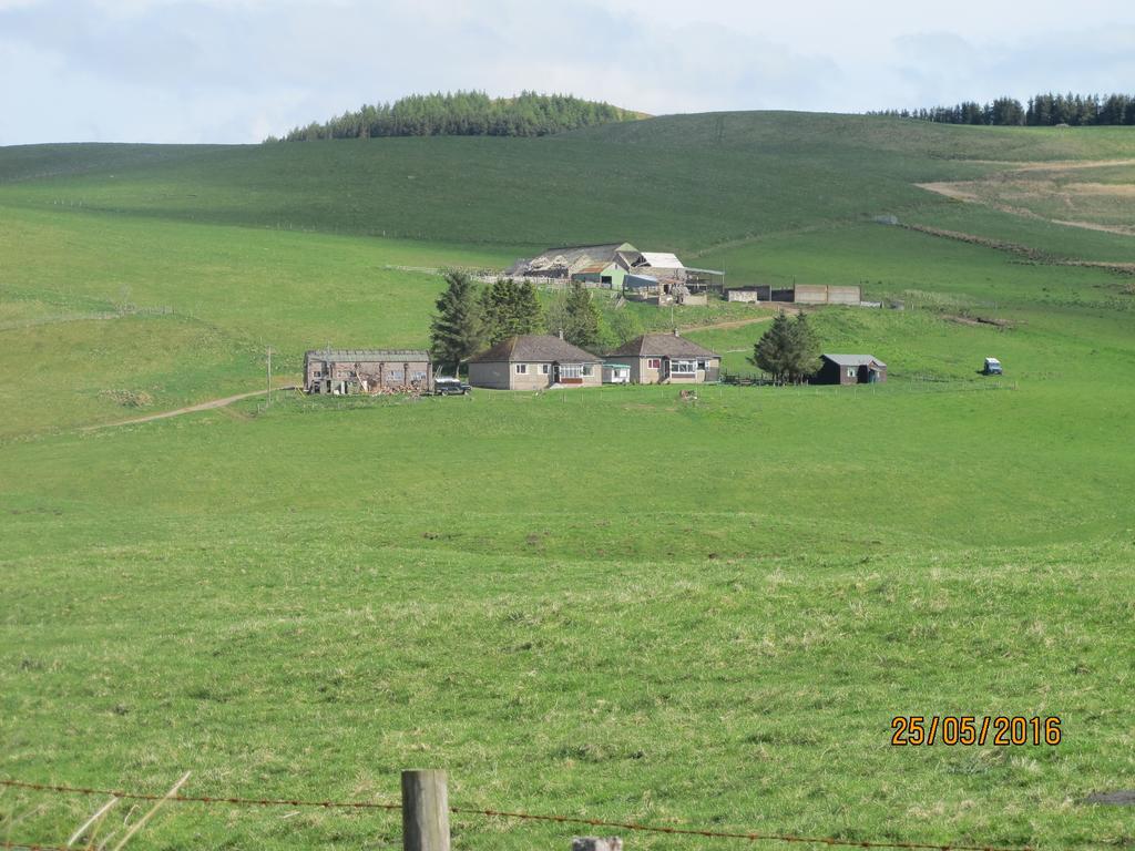 Scotland Paradise Relax Accommodation By Shooting Club Kirriemuir Balintore  Bagian luar foto