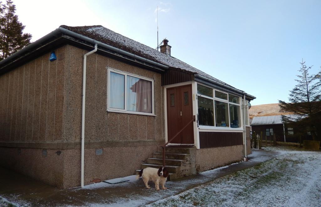 Scotland Paradise Relax Accommodation By Shooting Club Kirriemuir Balintore  Bagian luar foto